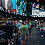 how to bet on sports in vegas